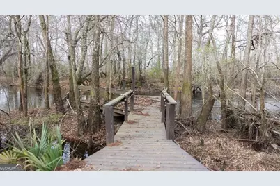 4980 Coleman Bridge Spur Road, Cobbtown, GA 30420 - Photo 13