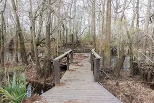 4980 Coleman Bridge Spur, Cobbtown, GA 30420 - Photo 13