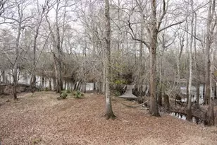 4980 Coleman Bridge Spur, Cobbtown, GA 30420 - Photo 7