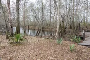 4980 Coleman Bridge Spur, Cobbtown, GA 30420 - Photo 9