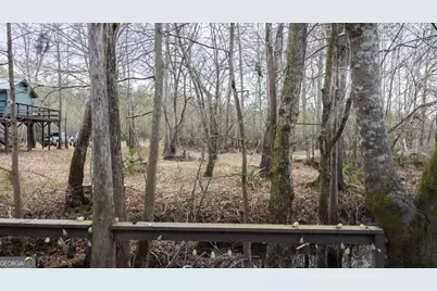 4980 Coleman Bridge Spur Road, Cobbtown, GA 30420 - Photo 11