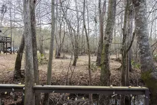 4980 Coleman Bridge Spur, Cobbtown, GA 30420 - Photo 11