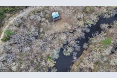 4980 Coleman Bridge Spur Road, Cobbtown, GA 30420 - Photo 3