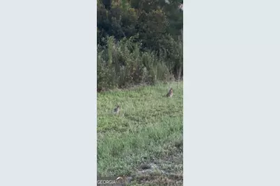 1334 Shady Lane, Sylvania, GA 30467 - Photo 37