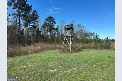 1334 Shady Lane, Sylvania, GA 30467 - Photo 17