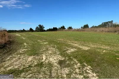 1334 Shady Lane, Sylvania, GA 30467 - Photo 29