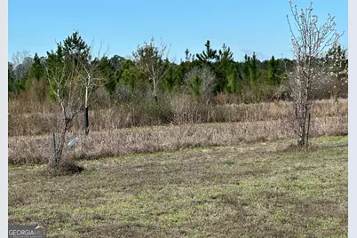 1334 Shady Lane, Sylvania, GA 30467 - Photo 25