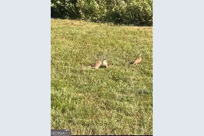 1334 Shady Lane, Sylvania, GA 30467 - Photo 35