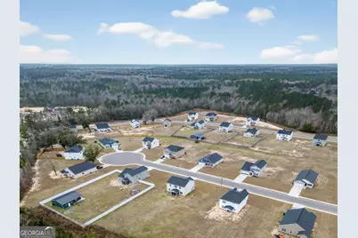 99 Blueberry Court NE, Ludowici, GA 31316 - Photo 49