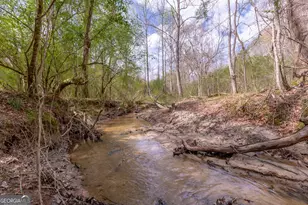 1583 Sullivan Mill Rd, Senoia, GA 30276 - Photo 5