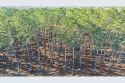 2161 Bear Creek Road, Moreland, GA 30259 - Photo 123