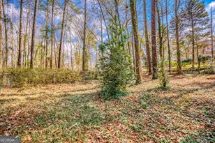 2780 Westminister Ln NW, Conyers, GA 30012 - Photo 43