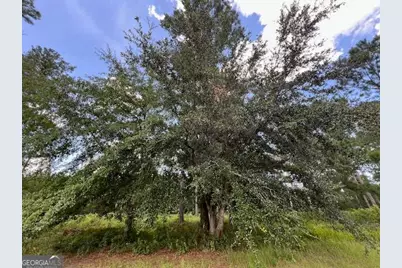 19 Windmill Palm, Brunswick, GA 31523 - Photo 5