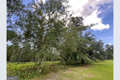 19 Windmill Palm, Brunswick, GA 31523 - Photo 3