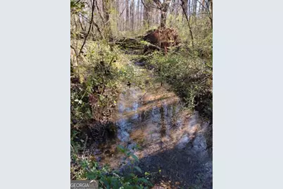 2331 Kesler Rd, Carnesville, GA 30521 - Photo 15