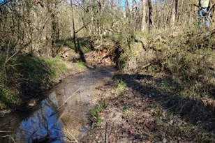 2331 Kesler Rd, Carnesville, GA 30521 - Photo 15