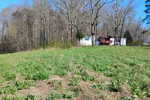 2331 Kesler Rd, Carnesville, GA 30521 - Photo 1