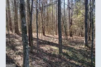 2331 Kesler Rd, Carnesville, GA 30521 - Photo 19