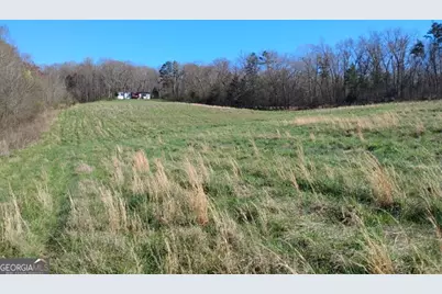 2331 Kesler Rd, Carnesville, GA 30521 - Photo 1