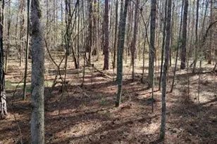 2331 Kesler Rd, Carnesville, GA 30521 - Photo 17