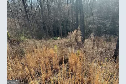 77 River Overlook Lane S, Ellijay, GA 30540 - Photo 11