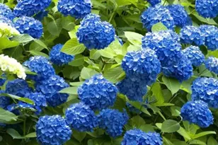 1071 Waterford Ct, Watkinsville, GA 30677 - Photo 35