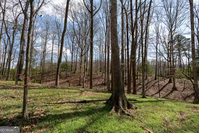 13 W L Williams, Commerce, GA 30530 - Photo 15