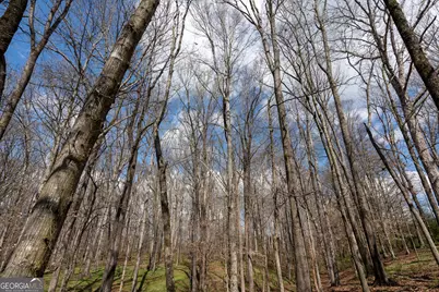 13 W L Williams, Commerce, GA 30530 - Photo 17