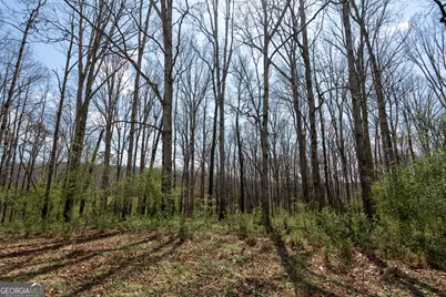 13 W L Williams, Commerce, GA 30530 - Photo 7