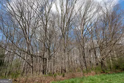 13 W L Williams, Commerce, GA 30530 - Photo 21