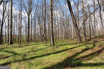 13 W L Williams, Commerce, GA 30530 - Photo 13