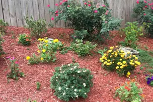 2203 Loudon Ln NW, Kennesaw, GA 30152 - Photo 5