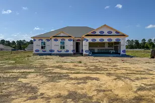 318 Barney Run, Statesboro, GA 30458 - Photo 3