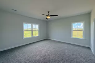 318 Barney Run, Statesboro, GA 30458 - Photo 17