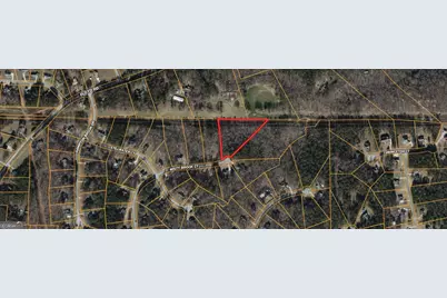 437 Misty Brook Court, Hampton, GA 30228 - Photo 5