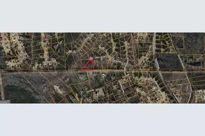 437 Misty Brook Court, Hampton, GA 30228 - Photo 3