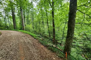 Tract 2B Poplar Cove Trail, Suches, GA 30572 - Photo 1