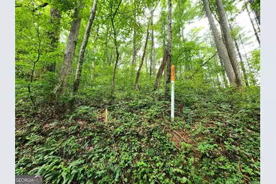 Tract 2B Poplar Cove Trail, Suches, GA 30572 - Photo 9