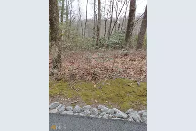 0 Lot 10 &amp; 11 Honey Bear #LOT 10 &amp; 11, Dillard, GA 30537 - Photo 3