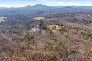 445 Skyview Cir, Clarkesville, GA 30523 - Photo 37