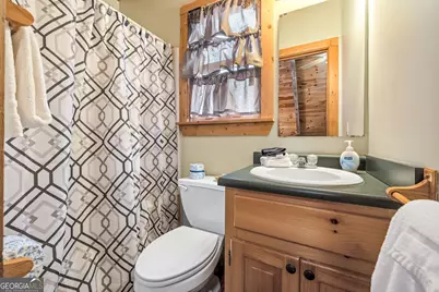 445 Skyview Circle, Clarkesville, GA 30523 - Photo 19