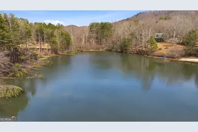 445 Skyview Circle, Clarkesville, GA 30523 - Photo 39