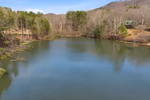 445 Skyview Cir, Clarkesville, GA 30523 - Photo 39