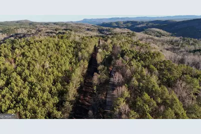 1 East Dry Pond Road LOT #1 EAST, Ranger, GA 30734 - Photo 3