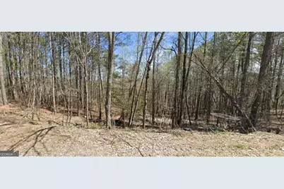 2 East Dry Pond Road LOT #2 EAST, Ranger, GA 30734 - Photo 11