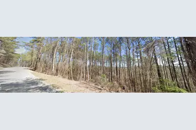 2 East Dry Pond Road LOT #2 EAST, Ranger, GA 30734 - Photo 13
