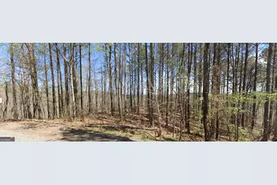 2 East Dry Pond Road LOT #2 EAST, Ranger, GA 30734 - Photo 3