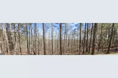 2 East Dry Pond Road LOT #2 EAST, Ranger, GA 30734 - Photo 9