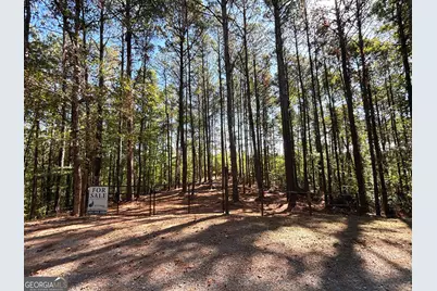 2 East Dry Pond Road LOT #2 EAST, Ranger, GA 30734 - Photo 23
