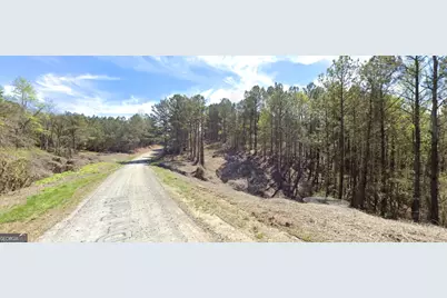 3 West Dry Pond Road LOT #3 WEST, Ranger, GA 30734 - Photo 5
